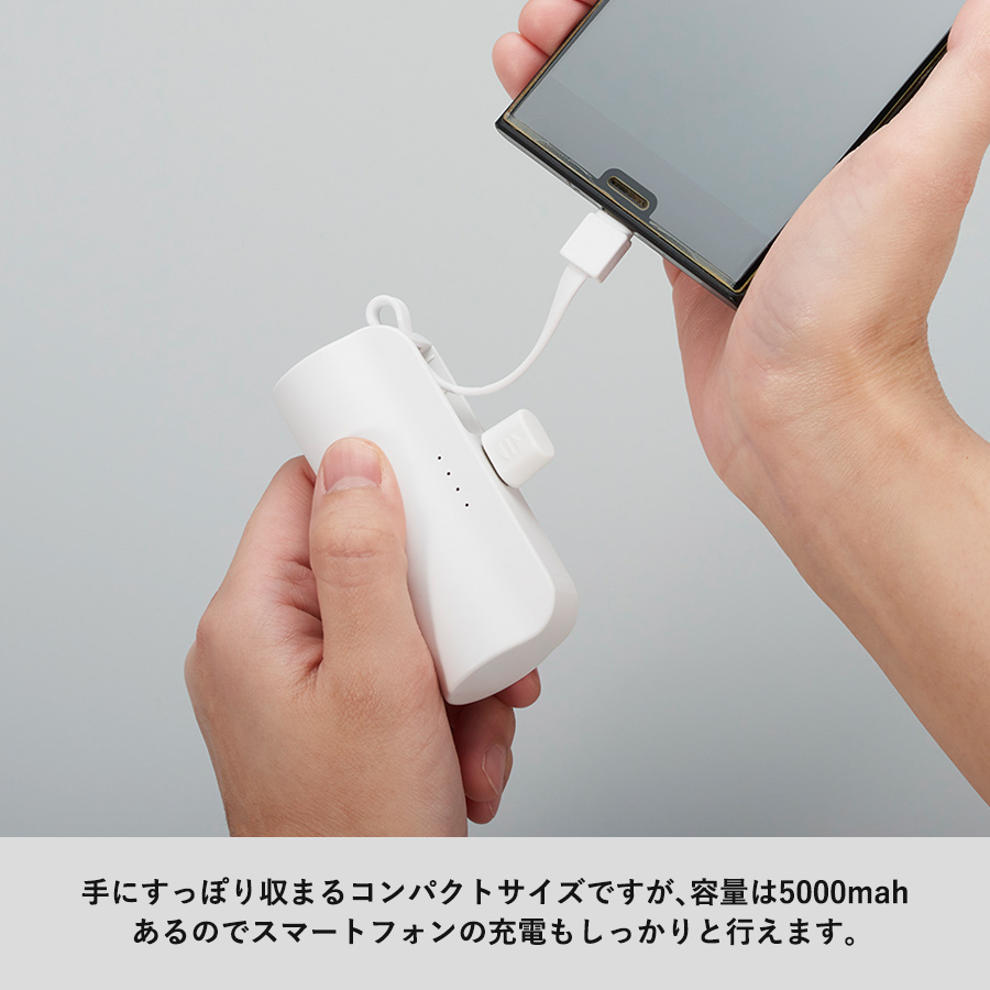 【TE-0006】ダイレクトモバイルチャージャー5000 - 画像 (7)