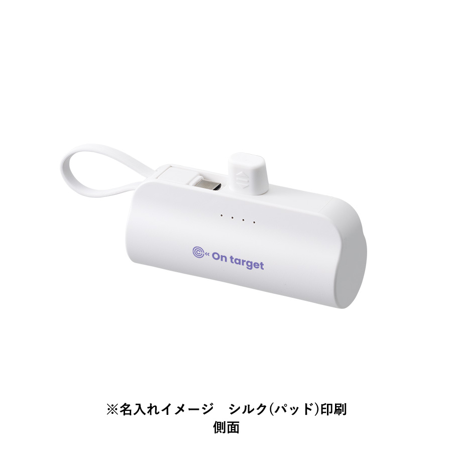【TE-0006】ダイレクトモバイルチャージャー5000 - 画像 (10)