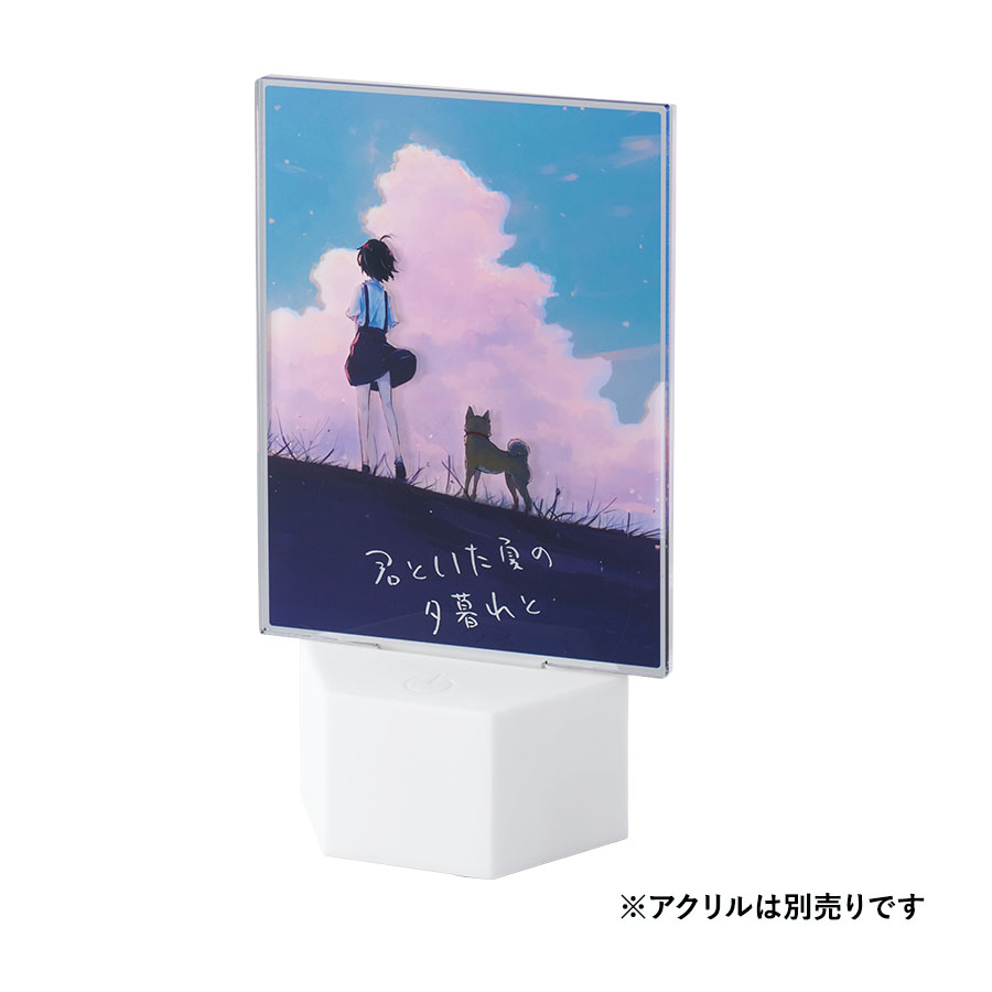 【TS-1829】【アウトレット】ライティングスタンドラージ 六角(アクリル板対応) - 画像 (16)