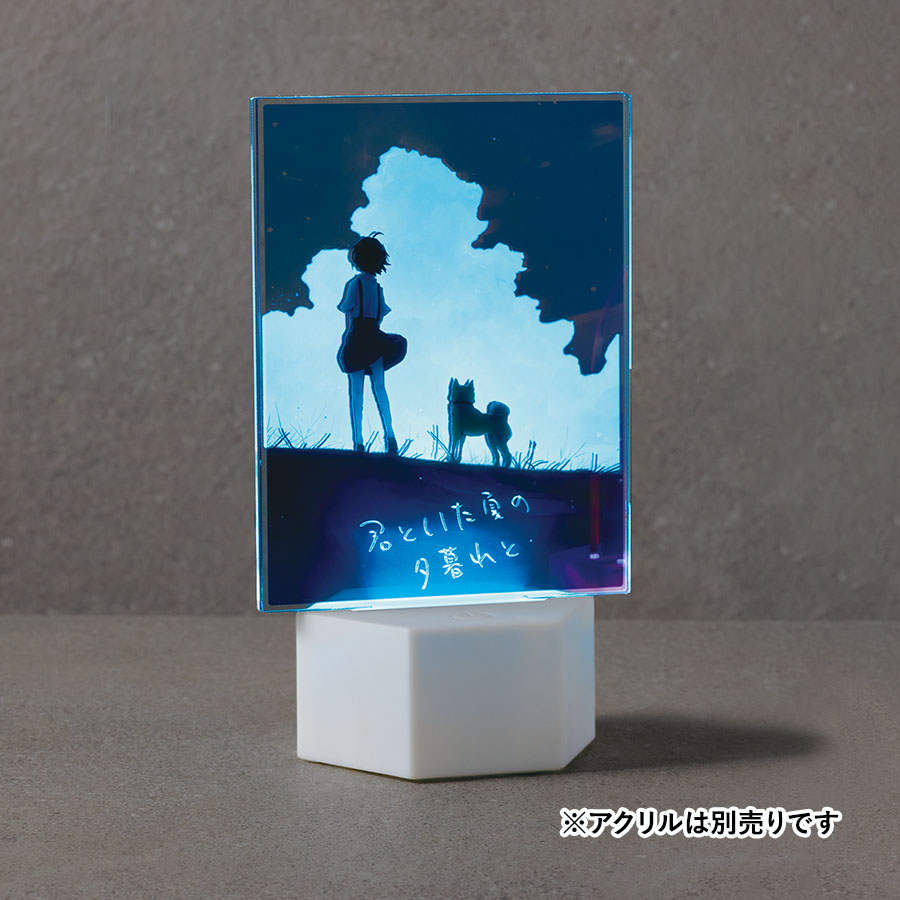 【TS-1829】【アウトレット】ライティングスタンドラージ 六角(アクリル板対応) - 画像 (17)