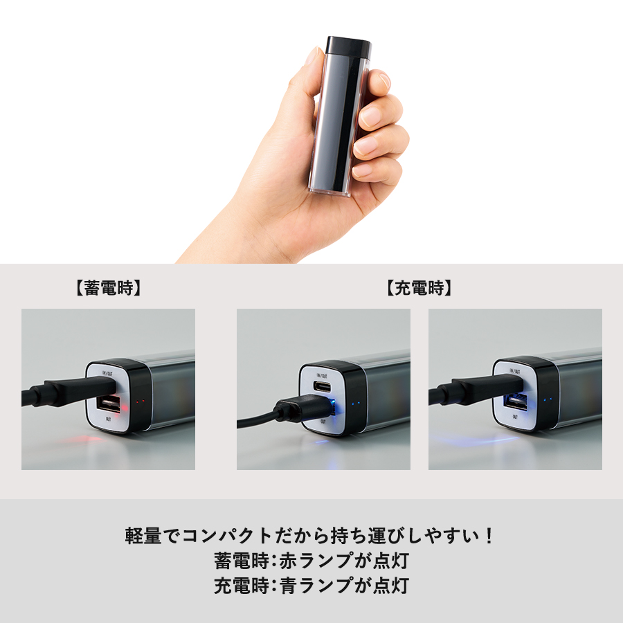 【TE-0017】カスタムデザインチャージャー2200 Type-C対応 - 画像 (5)