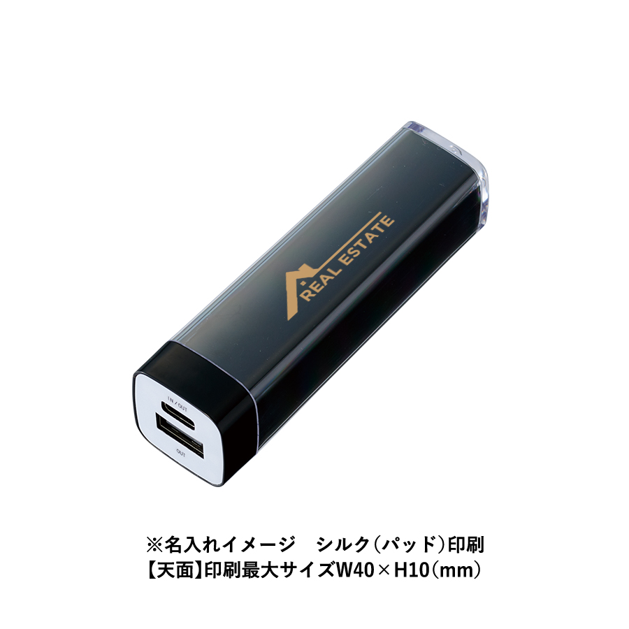 【TE-0017】カスタムデザインチャージャー2200 Type-C対応 - 画像 (9)