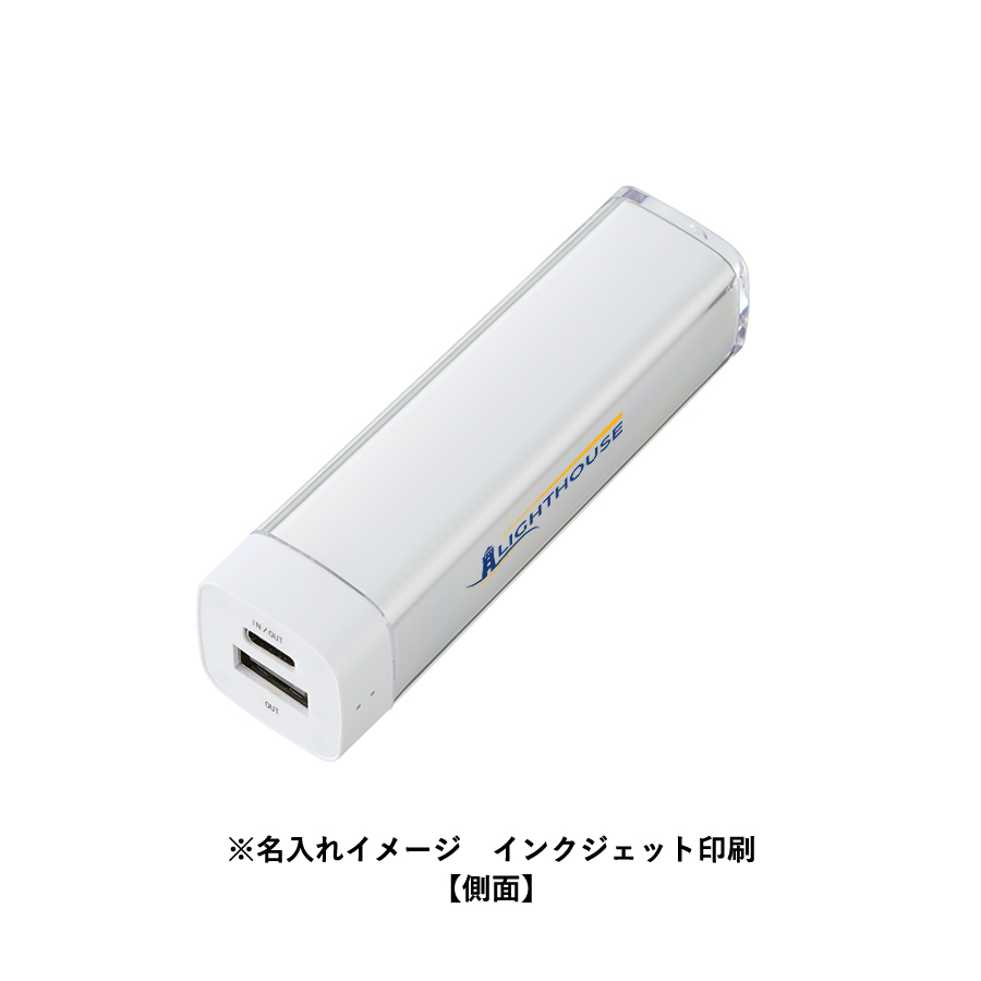 【TE-0017】カスタムデザインチャージャー2200 Type-C対応 - 画像 (10)