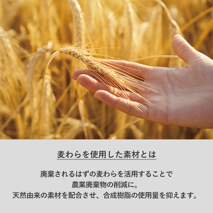 【TF-0145】エコボールペン(麦わら配合タイプ) - 画像 (5)
