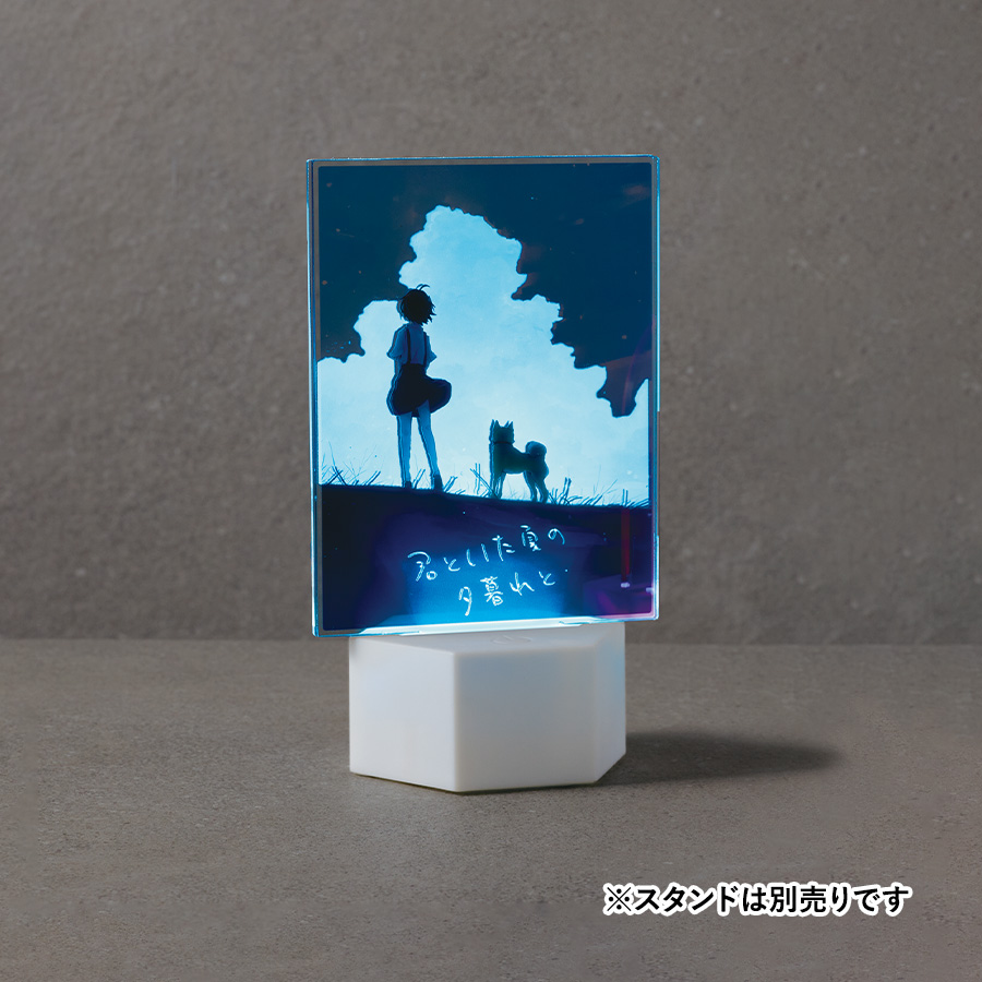 【TZ-1030】アクリルライティングスタンド六角用プレートS 3mm×2枚 - 画像 (11)