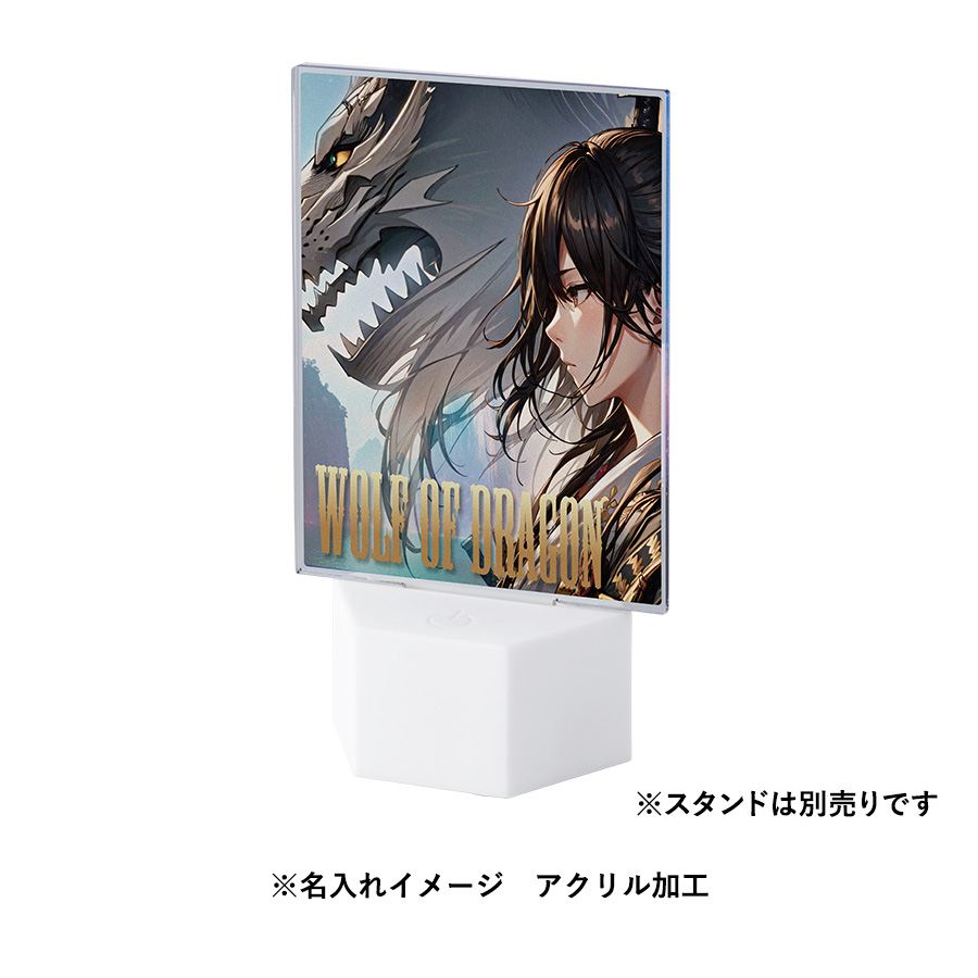 【TZ-1032】アクリルライティングスタンド六角用プレートL 3mm - 画像 (6)